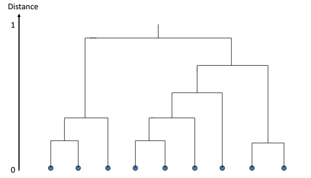 树状图表示层次聚类