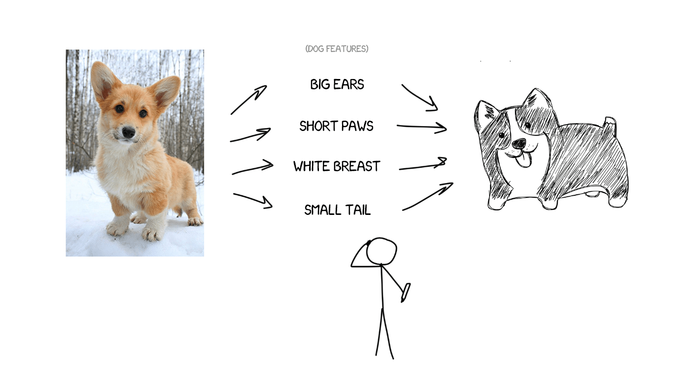 describe-dog
